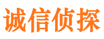 鼎湖市调查公司